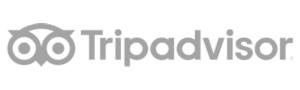 tripadvisor reviews management software